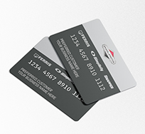 Briggs & Stratton Finance Cards