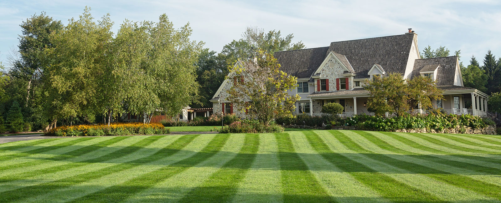 Striped lawn