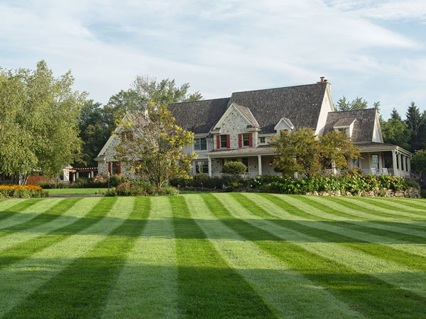 Striped lawn