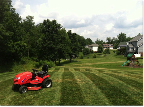 Simplicity Lawn Striping All-Stars