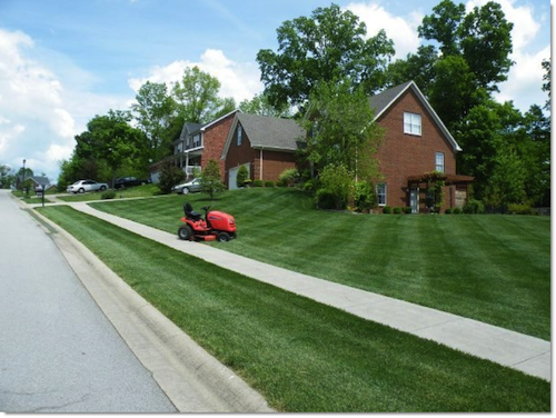 Simplicity Lawn Striping All-Stars