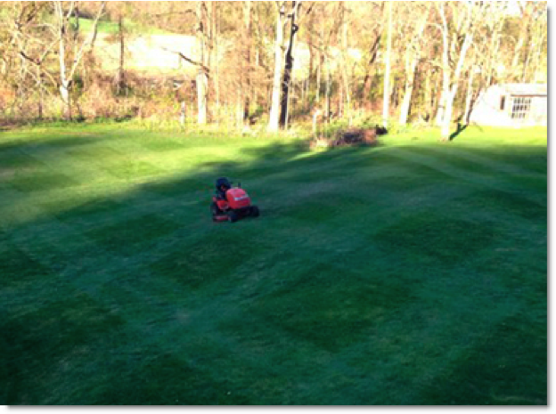 Simplicity Lawn Striping All-Stars
