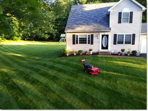 Simplicity Lawn Striping All-Stars