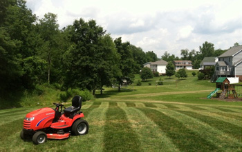 Lawn Care Tips For Your Big Backyard, Landscaping Lawn Mowers