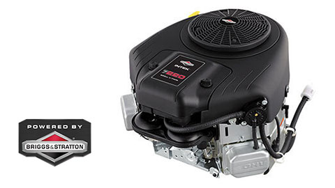 Briggs & Stratton engine
