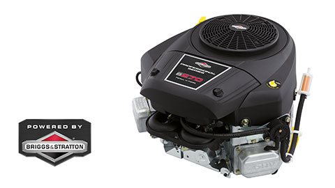 Briggs & Stratton engine