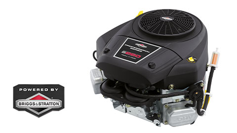 Briggs & Stratton engine